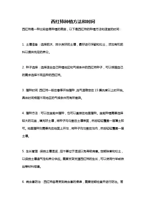西红柿种植方法和时间
