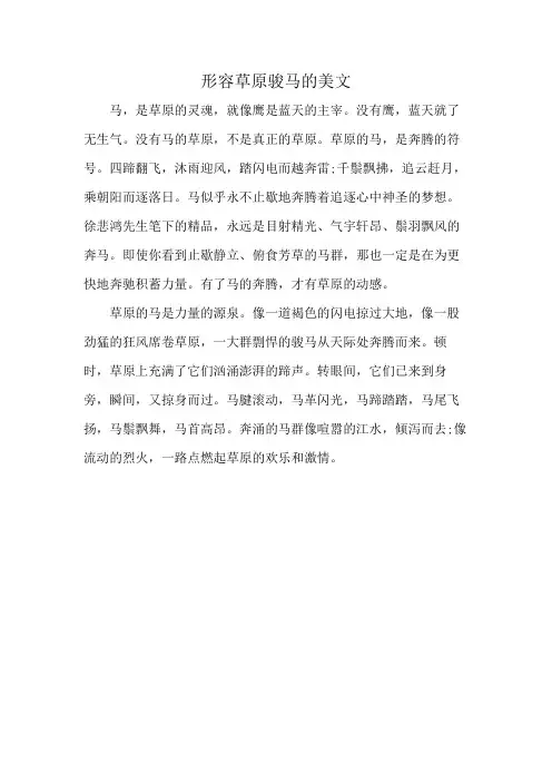 形容草原骏马的美文