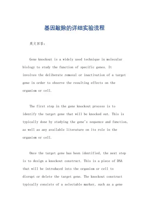 基因敲除的详细实验流程