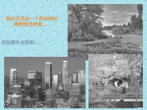 最新苏少版美术七年级上册第三课《情感的记录》ppt课件1