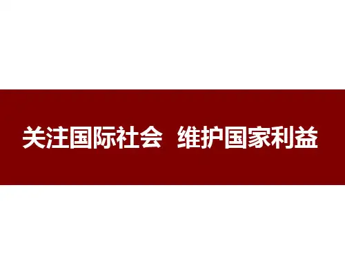 关注国际社会 维护国家利益