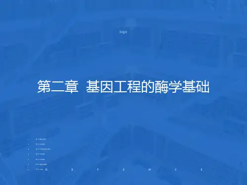 基因工程的酶学基础
