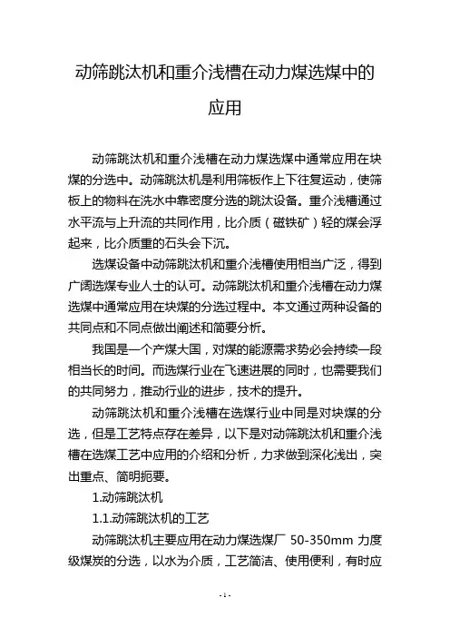 动筛跳汰机和重介浅槽在动力煤选煤中的应用