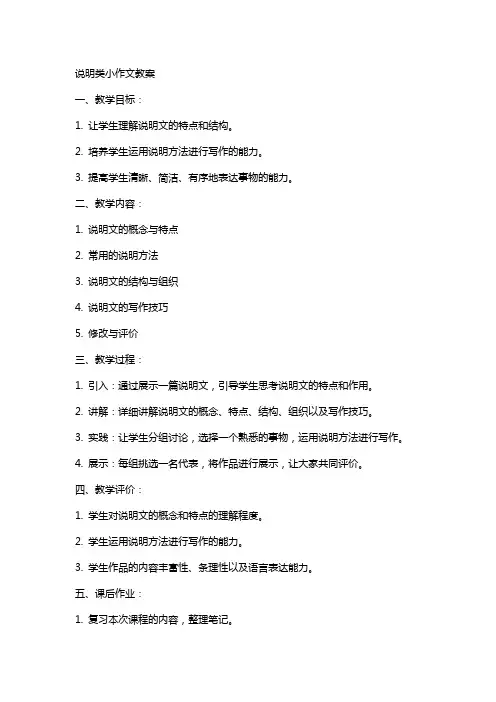 说明类小作文教案