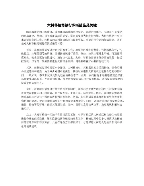 大树移植需镇行保活措施是关键