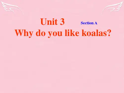 七年级英语下册 Unit 3 Why do you like koalas Section A课件 人教新目标版
