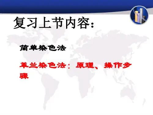 放线菌的形态、构造及群体特征放线菌形态观察