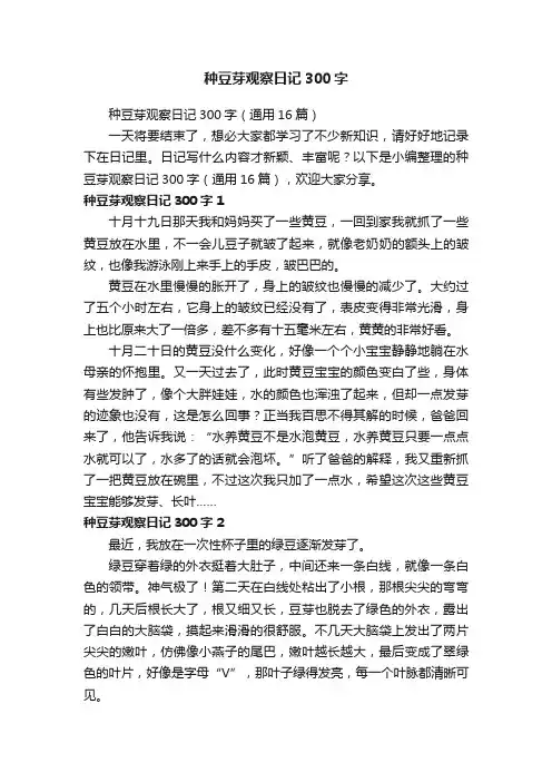 种豆芽观察日记300字（通用16篇）