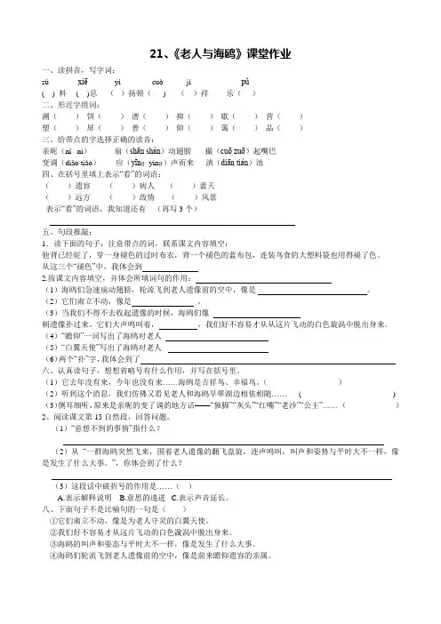 1-21、《老人与海鸥》课堂作业