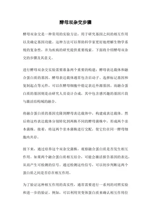 酵母双杂交步骤