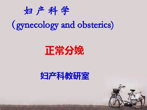 正常分娩 ppt课件