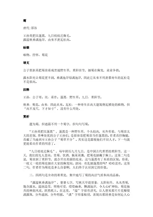 菊(郑谷作品)原文、翻译及赏析