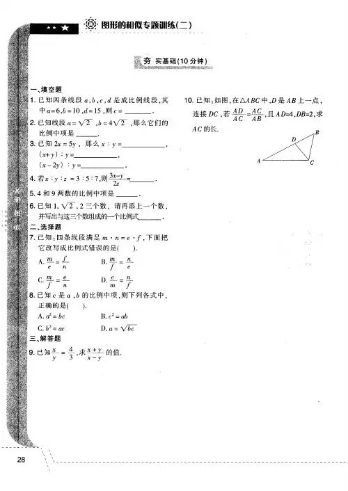 图形的相似专题训练(二)