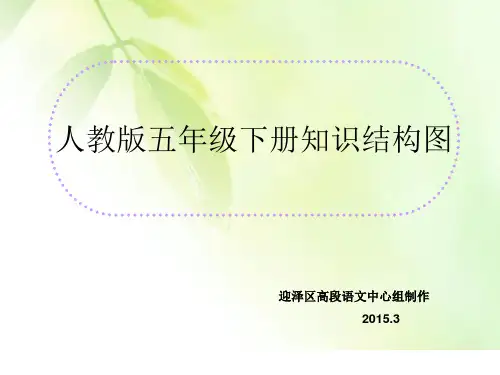 五下知识结构图