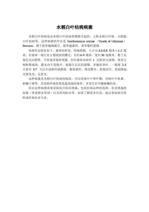 水稻白叶枯病病菌