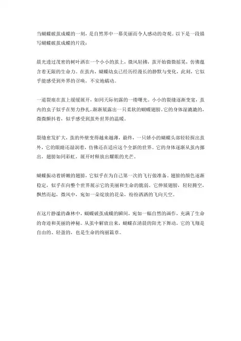 蝴蝶破茧成蝶的描写片段