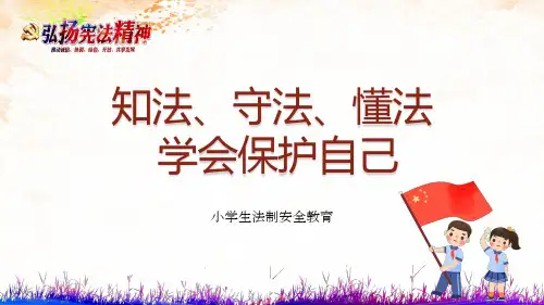 法制安全教育小学生安全教育PPT