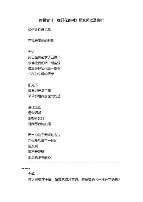 席慕容《一棵开花的树》原文阅读及赏析