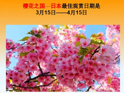 粤人地理七年级下册第七章5日本(共25张PPT)