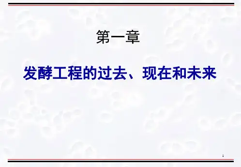 发酵工程 原理与技术 第一章 陈坚PPT课件