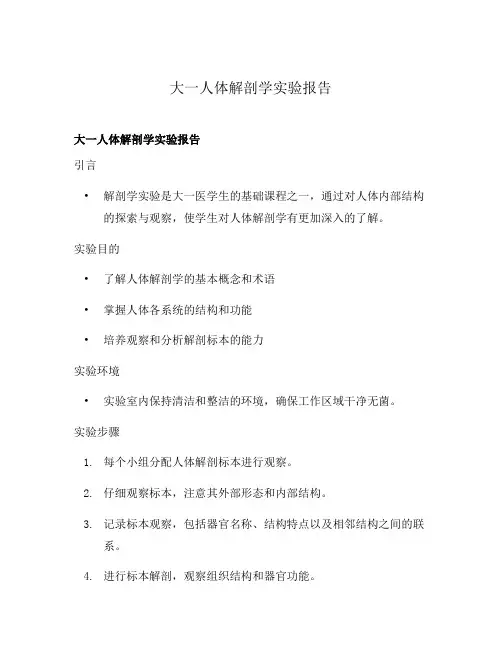 大一人体解剖学实验报告