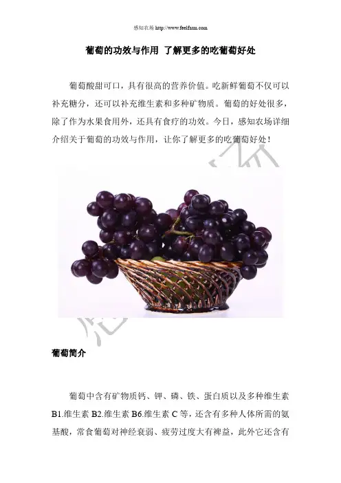 葡萄的功效与作用 了解更多的吃葡萄好处