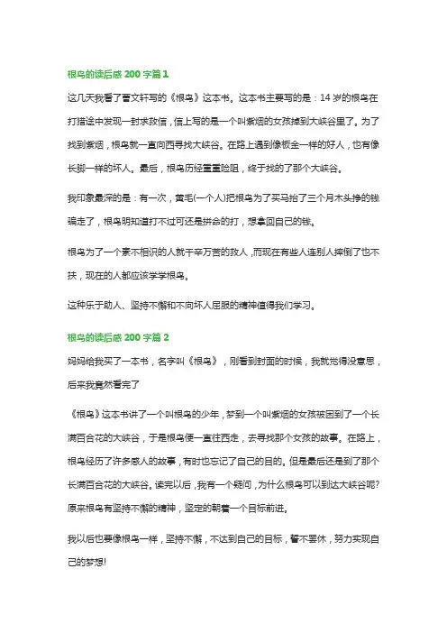 根鸟的读后感200字(精选12篇)
