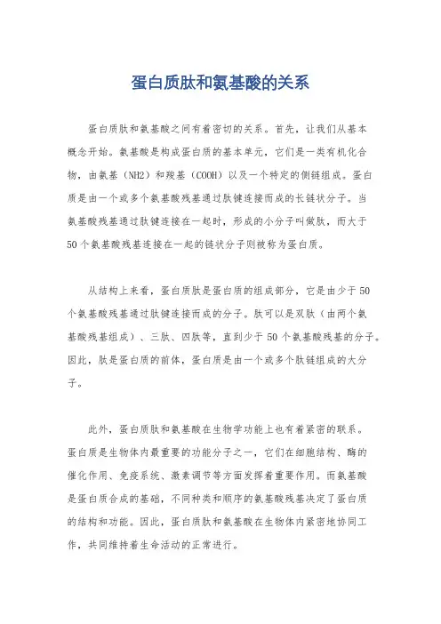 蛋白质肽和氨基酸的关系