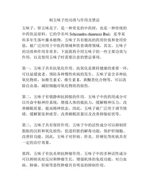 制五味子的功效与作用及禁忌