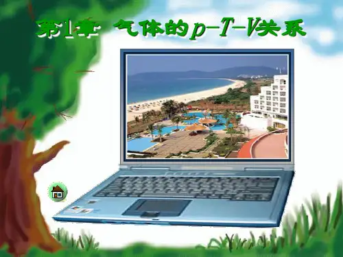 第1章气体的pVt关系