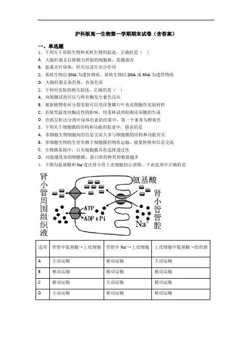 沪科版高一生物第一学期期末试卷(含答案)