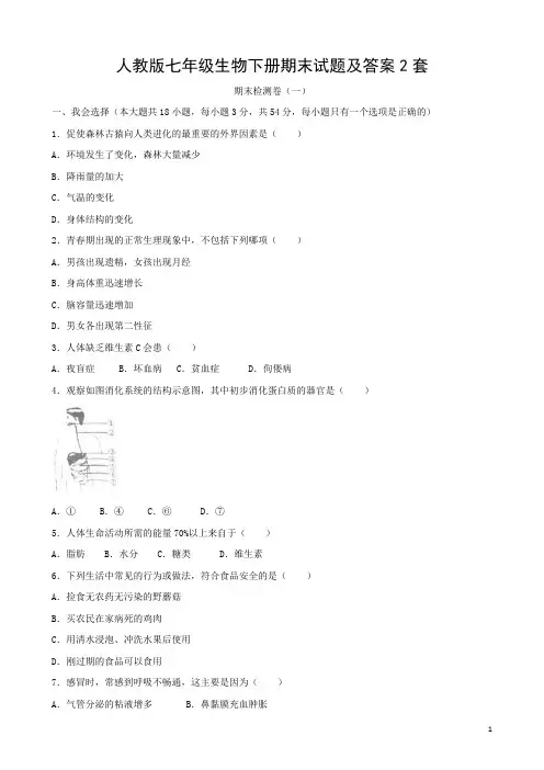 2022人教版七年级生物下册期末试题及答案2套(含答案)