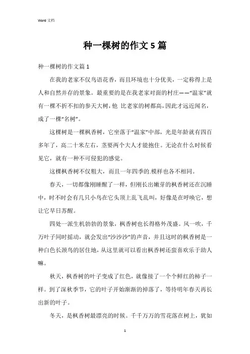 种一棵树的作文5篇