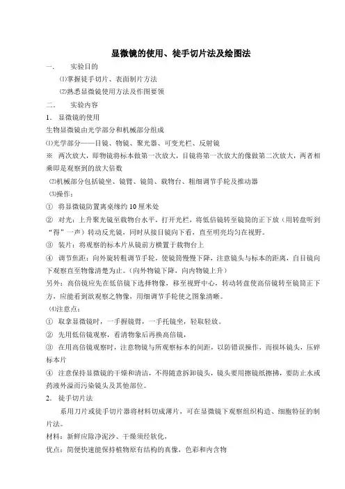 显微镜的使用、徒手切片法及绘图法