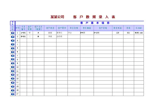 wps表格模板--客户信息录入表