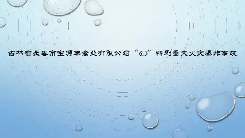 吉林省长春市宝源丰禽业有限公司“6.3”特别重大火灾爆炸事故