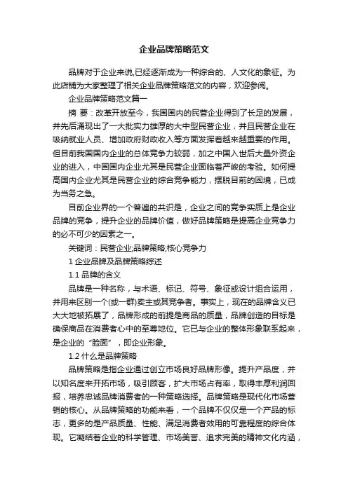 企业品牌策略范文