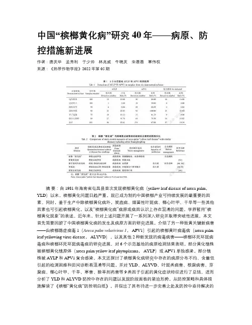 中国“槟榔黄化病”研究40年——病原、防控措施新进展
