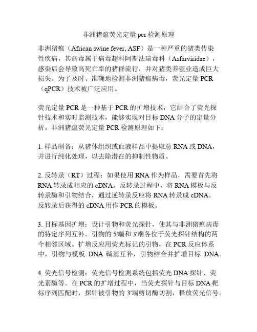 非洲猪瘟荧光定量pcr检测原理