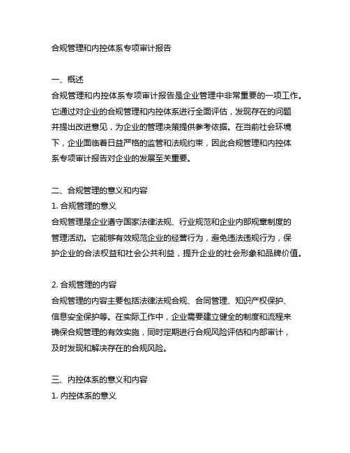 合规管理和内控体系专项审计报告
