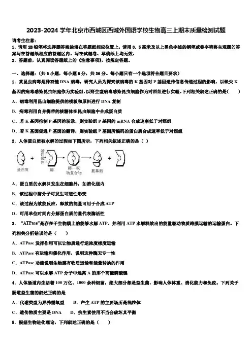 2023-2024学年北京市西城区西城外国语学校生物高三上期末质量检测试题含解析