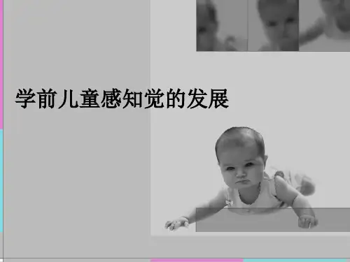 学前儿童感知发展
