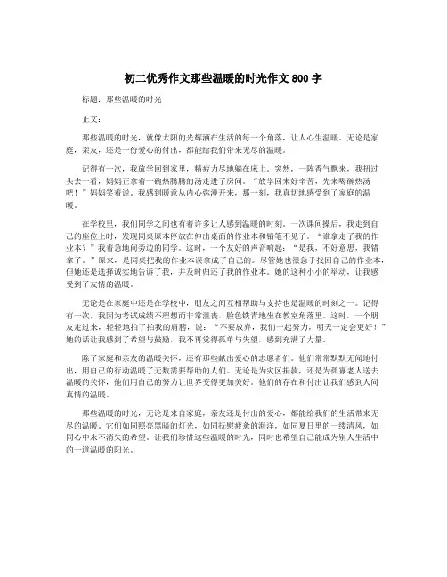 初二优秀作文那些温暖的时光作文800字