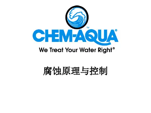 腐蚀原理与控制