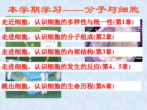 新版人教版生物学必修一第一章第一节细胞是生命活动的基本单位