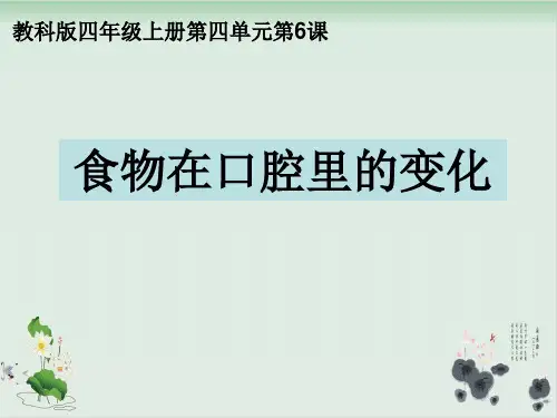 四年级上册科学课件食物在口腔里的变化教科版(共21张PPT)