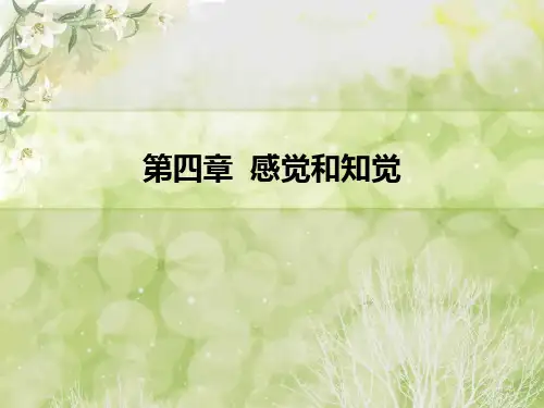 心理学基础 第四章  感觉和知觉