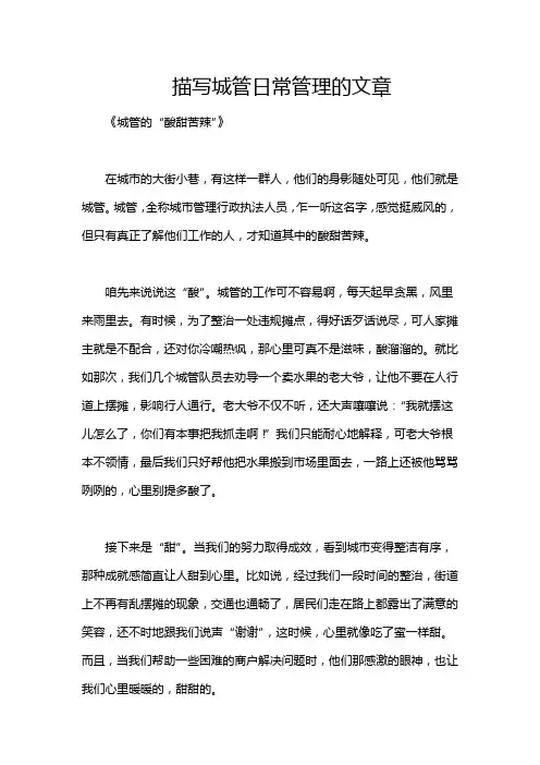 描写城管日常管理的文章
