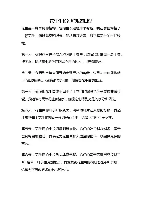 花生生长过程观察日记