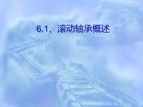 第六章滚动轴承的公差与配合